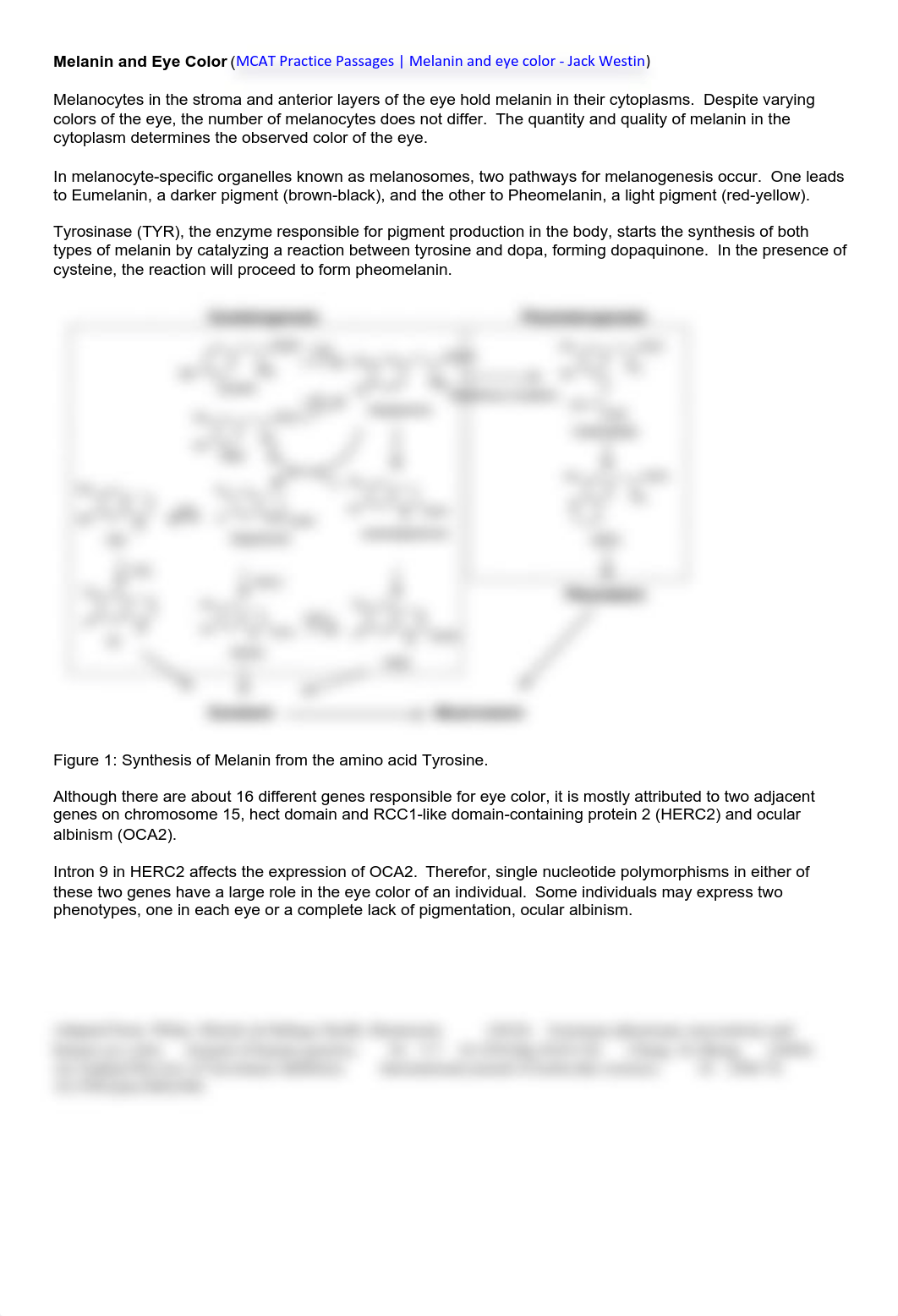 2023-01-19 Test Prep 102 MCAT Prep - Introduction to MCAT SIRS.pdf_d6jkrfr0tx7_page1