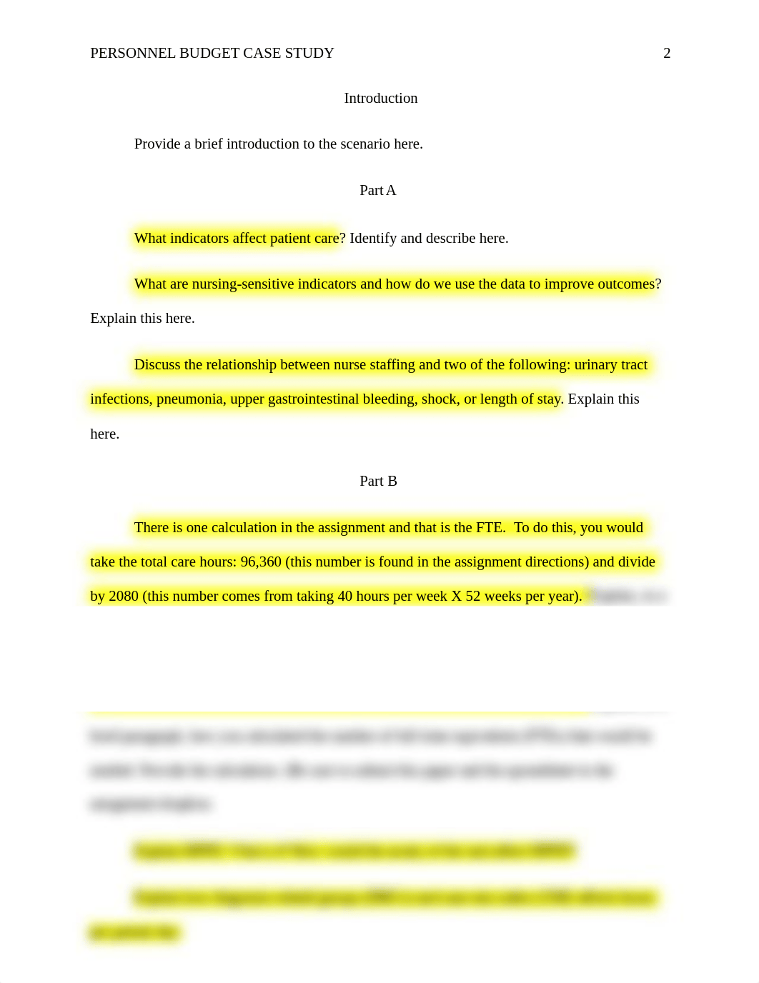 NSG4150 Personnel Budget Case Study_Template.docx_d6jm4yhsscj_page2