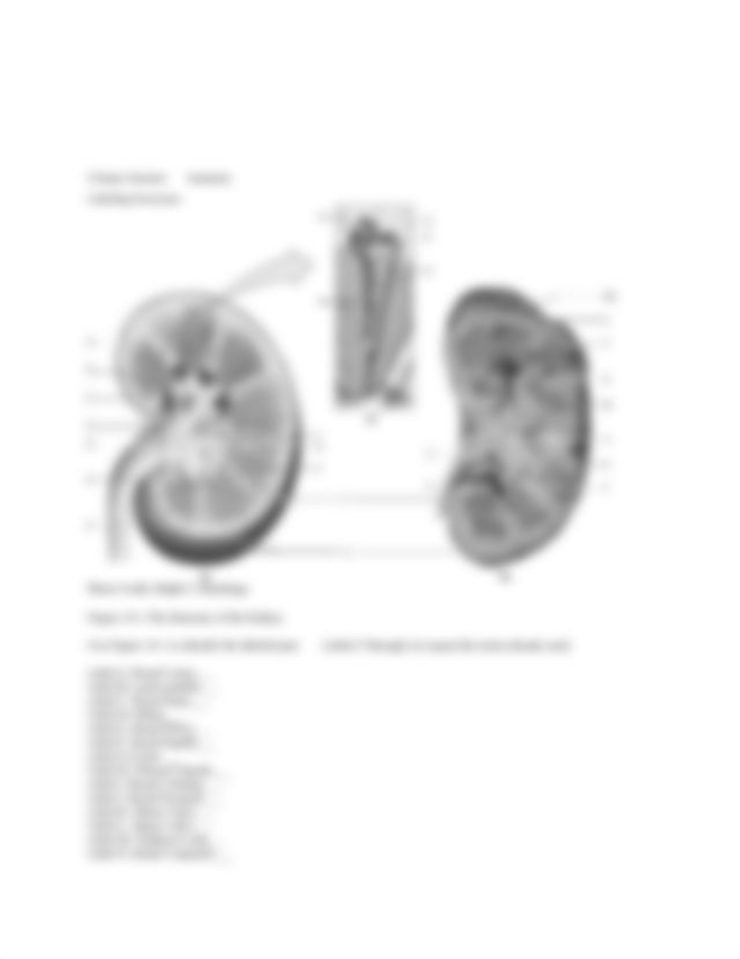 BIO104_U3 Assign. 2_d6jqzdvhyix_page2