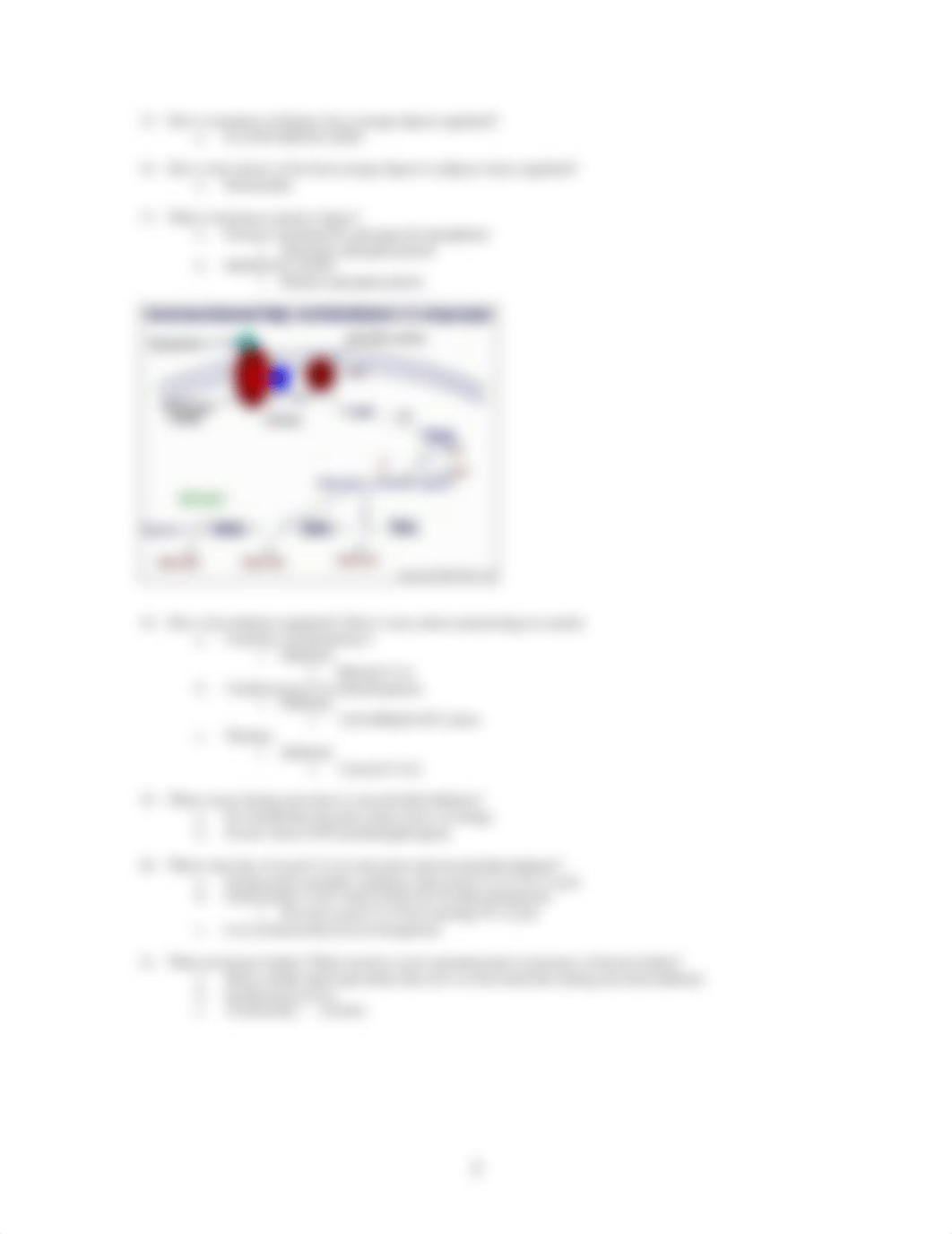 Biochemistry Review Questions - Fatty Acid Metabolism II_d6jsy2jfdg4_page3