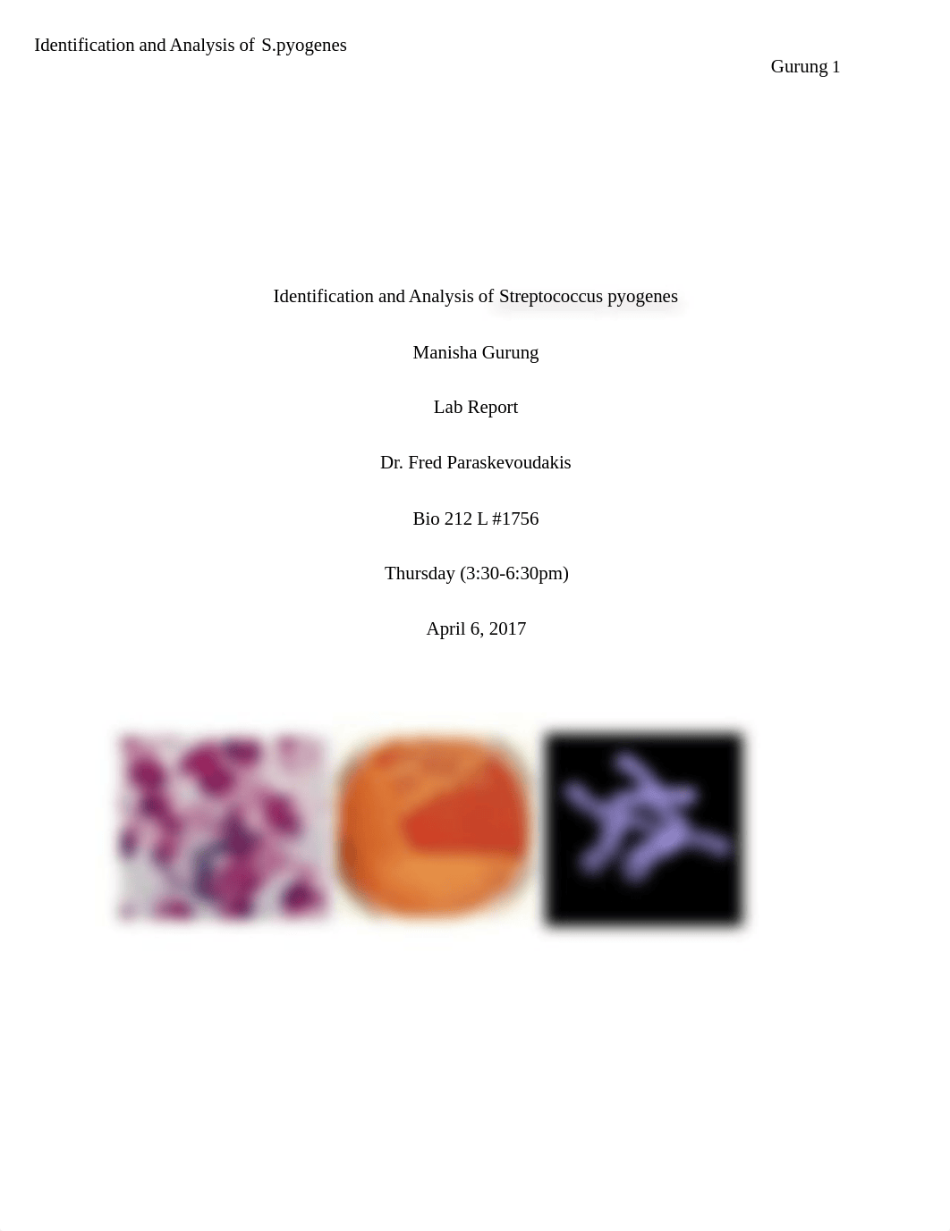 Identification and Analysis of Streptococcus Pyogens.docx_d6jwu36n9bj_page1