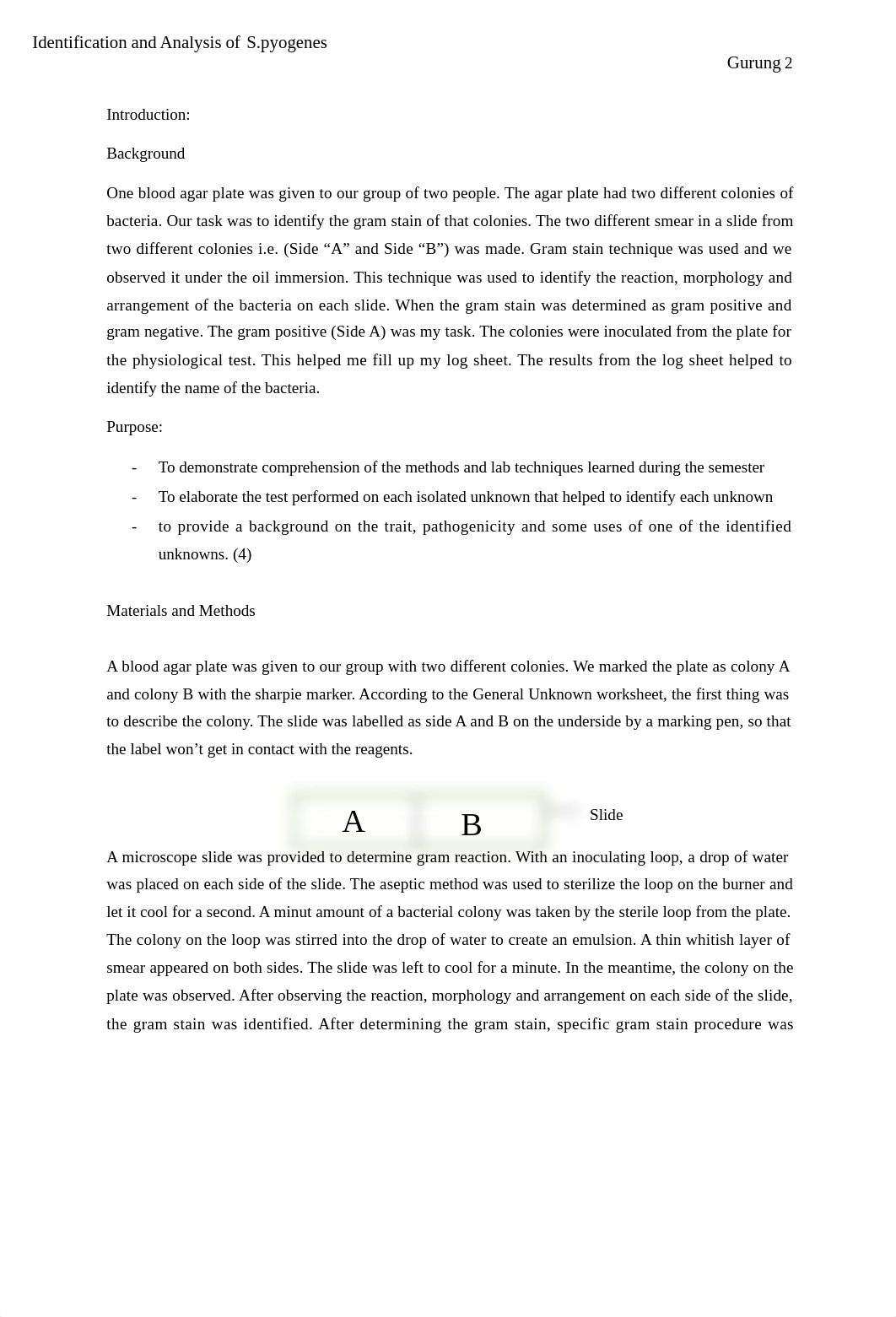 Identification and Analysis of Streptococcus Pyogens.docx_d6jwu36n9bj_page2