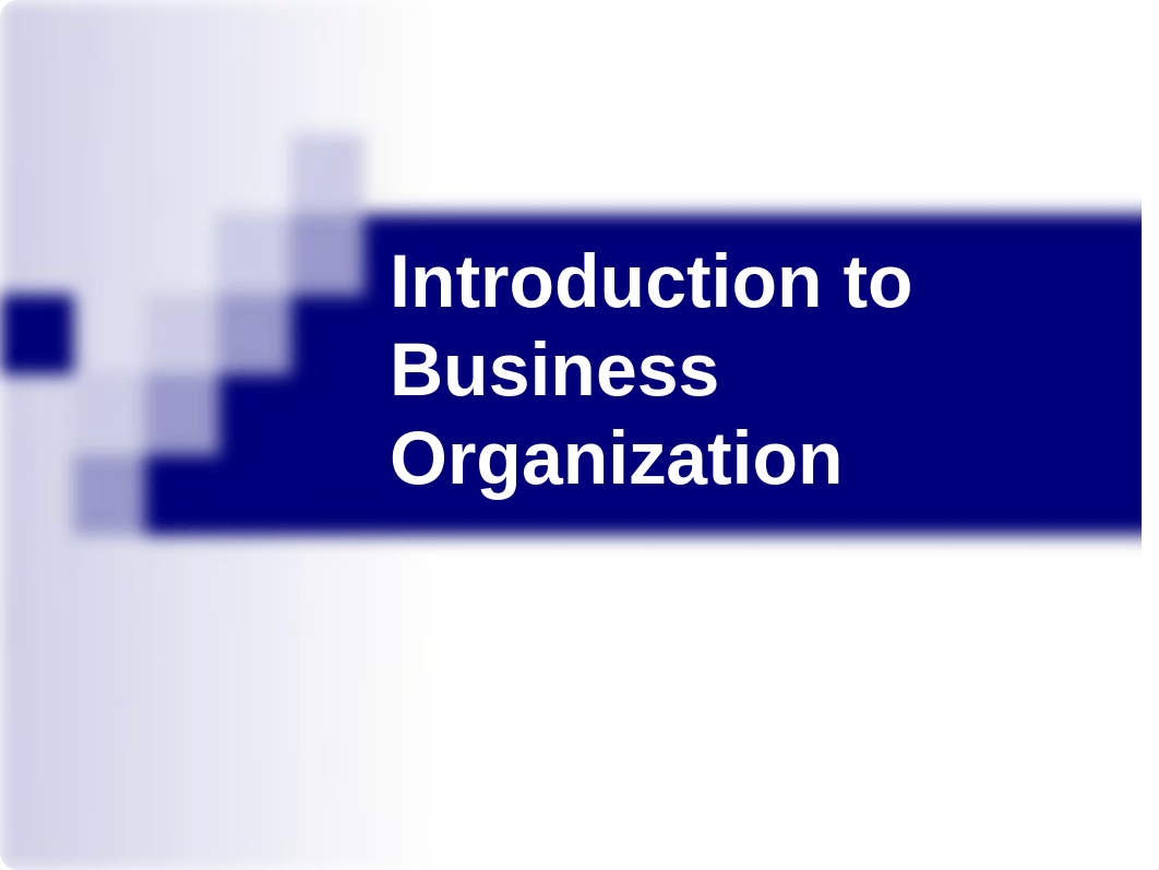 31_Introduction to Business Organization_d6k1amcd3t5_page1