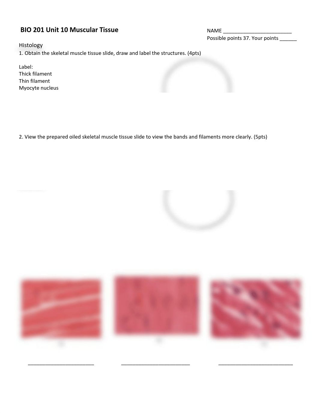 BIO 201 Unit 10 Muscular Tissue.docx - individual.pdf_d6kdtboehnk_page1