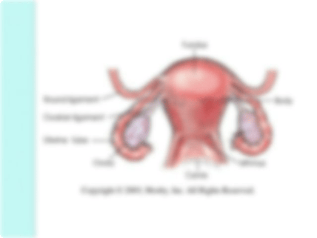 Hysterosalpingogram 2020.ppt_d6kg0ei48sv_page3