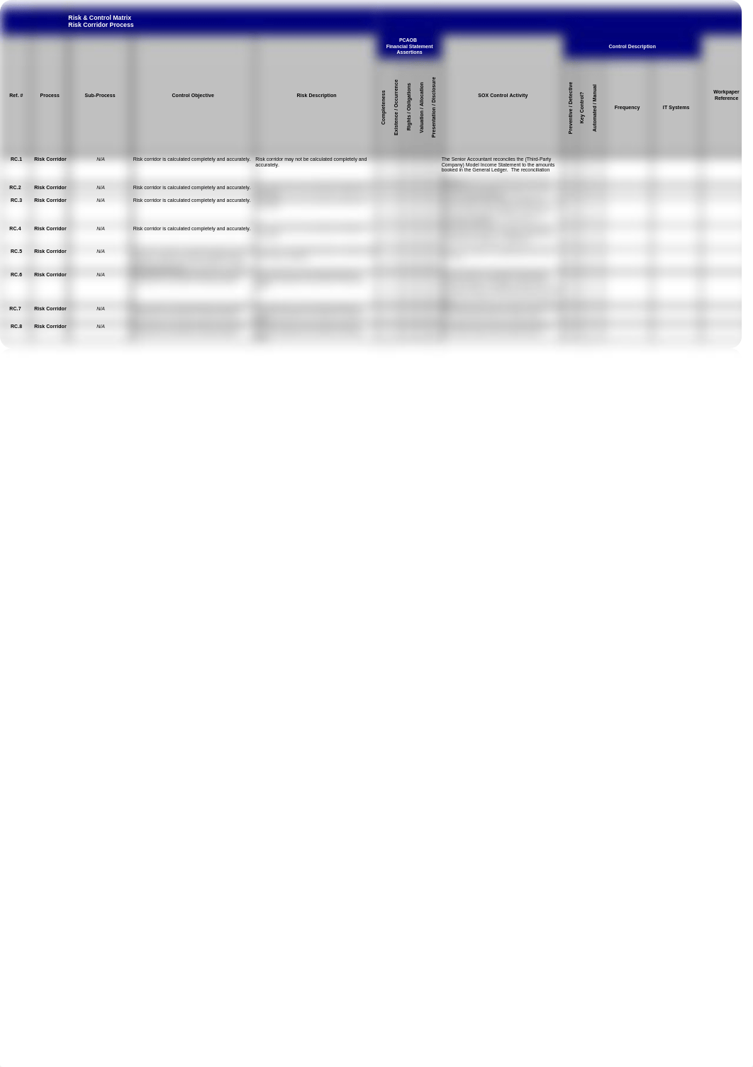 Risk Corridor Risk and Control Matrix - Sample_d6kqek928o8_page1