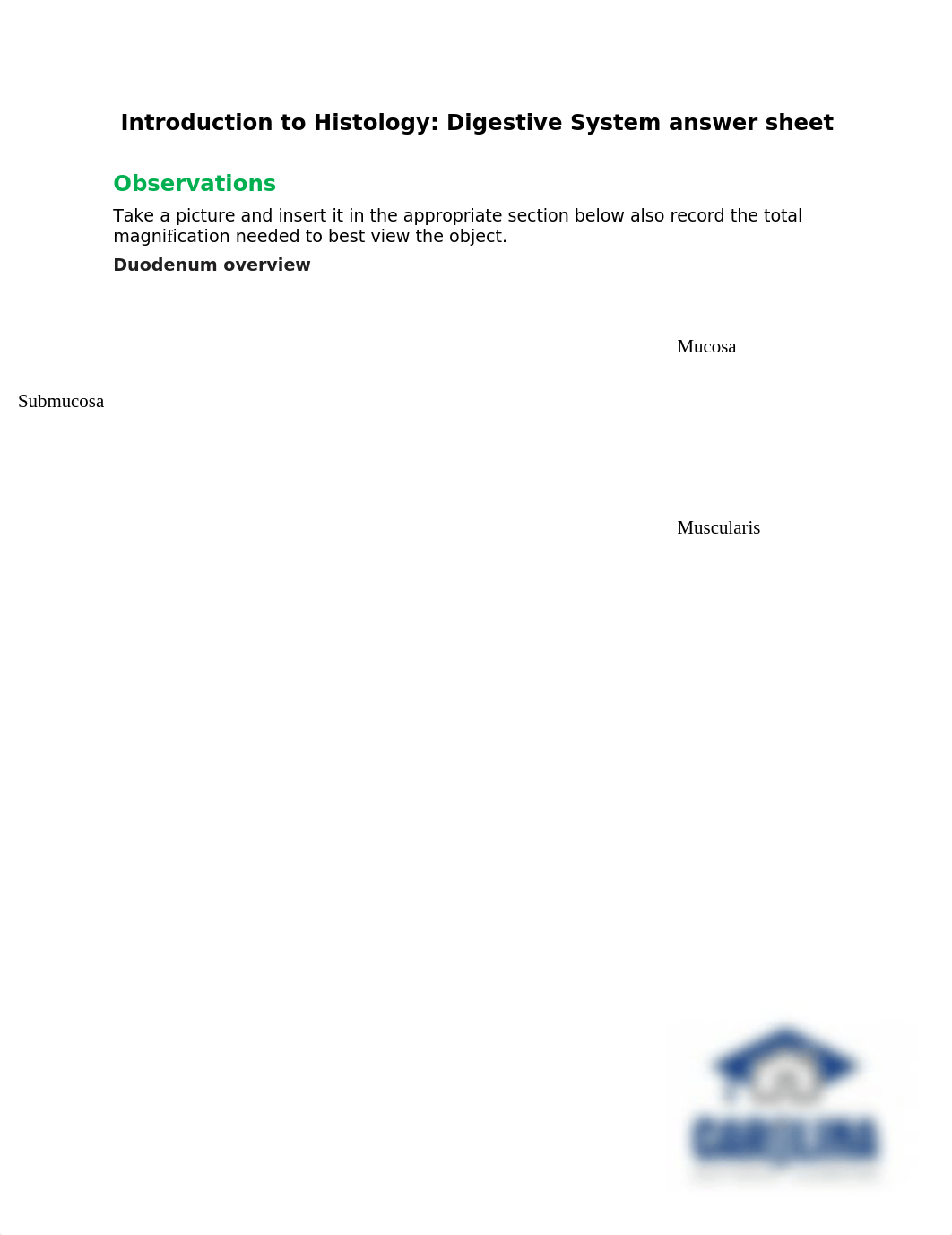 Digestive Lab.docx_d6kqkf0en0h_page1