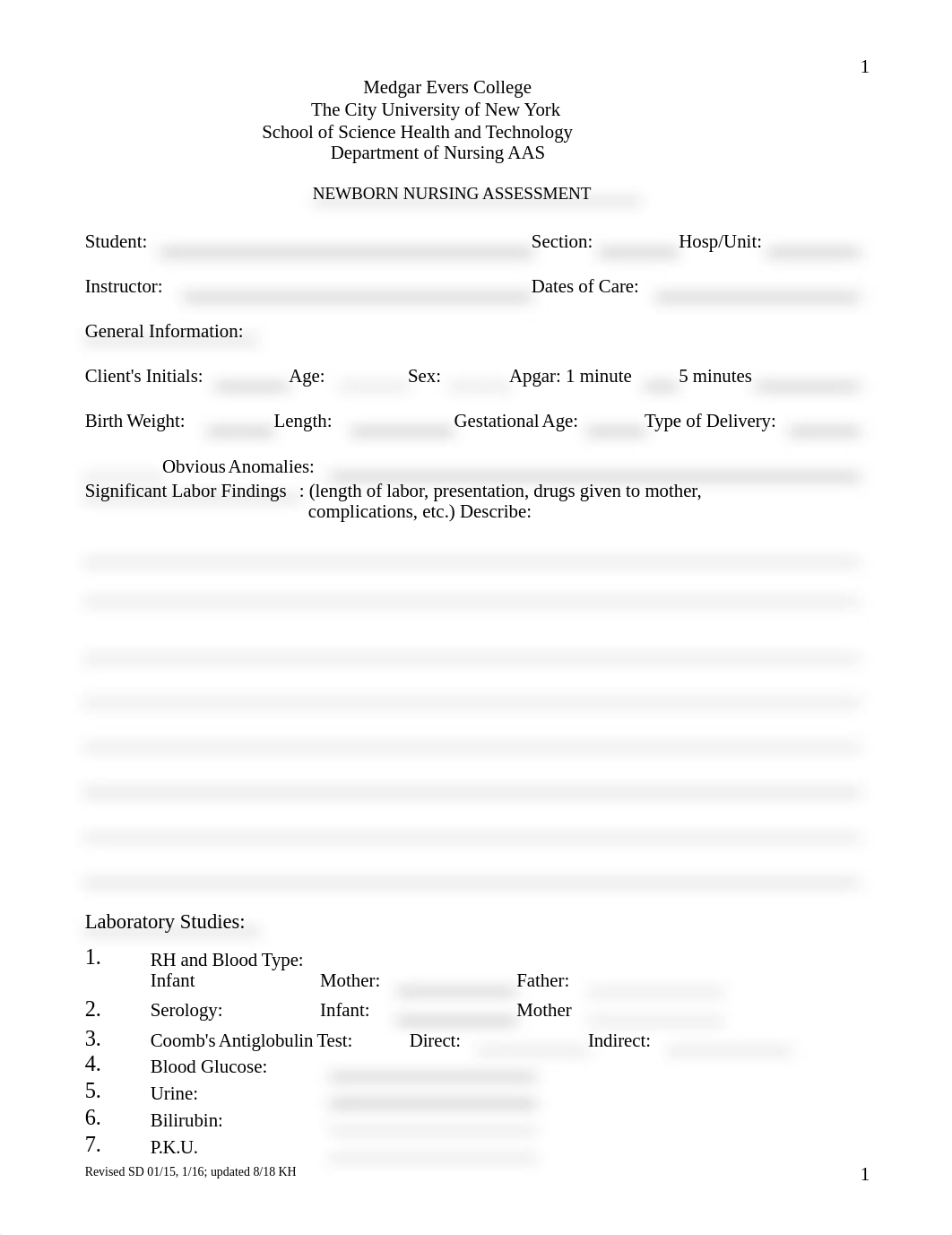 NUR 272 Newborn Assessment form.doc_d6kvb9rbtac_page1