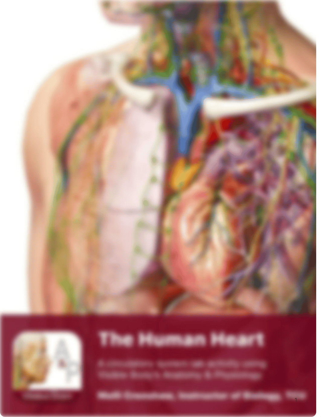 lab manual_human heart_a+p.pdf_d6l1j1yzzdm_page1