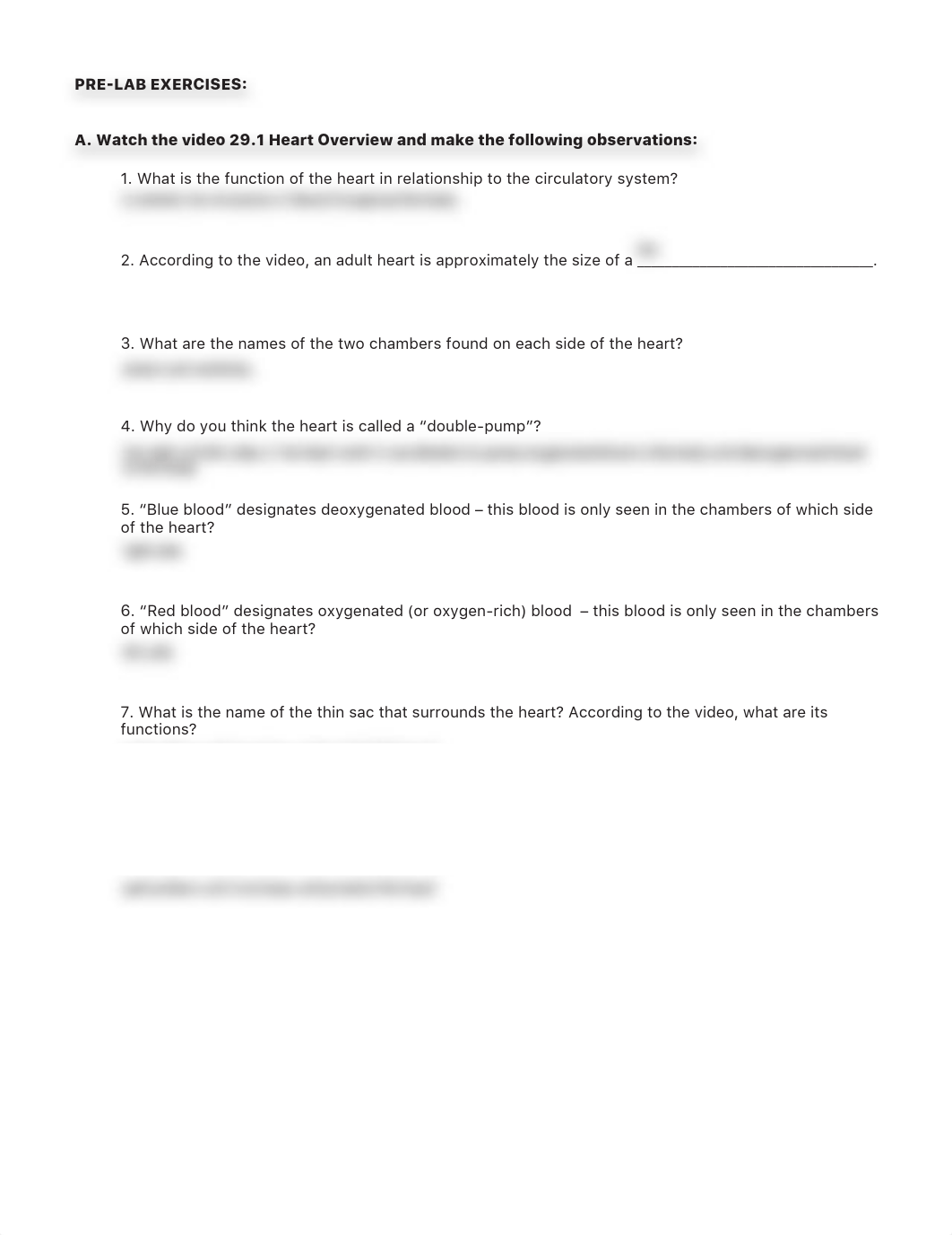 lab manual_human heart_a+p.pdf_d6l1j1yzzdm_page3