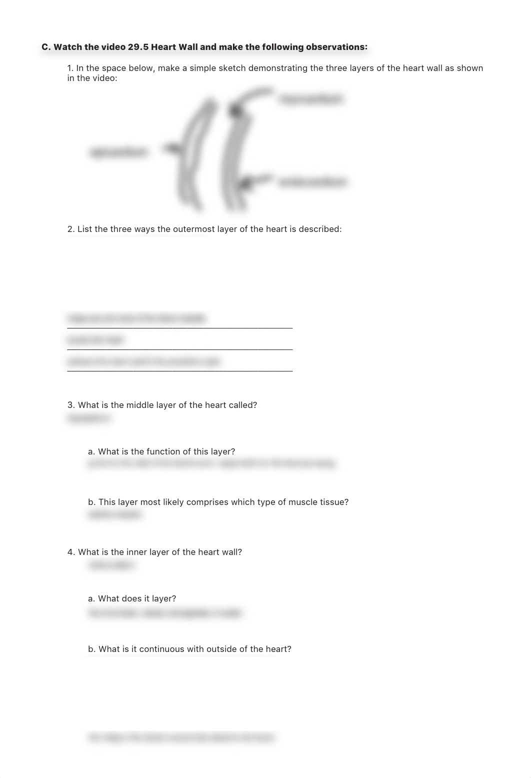 lab manual_human heart_a+p.pdf_d6l1j1yzzdm_page5