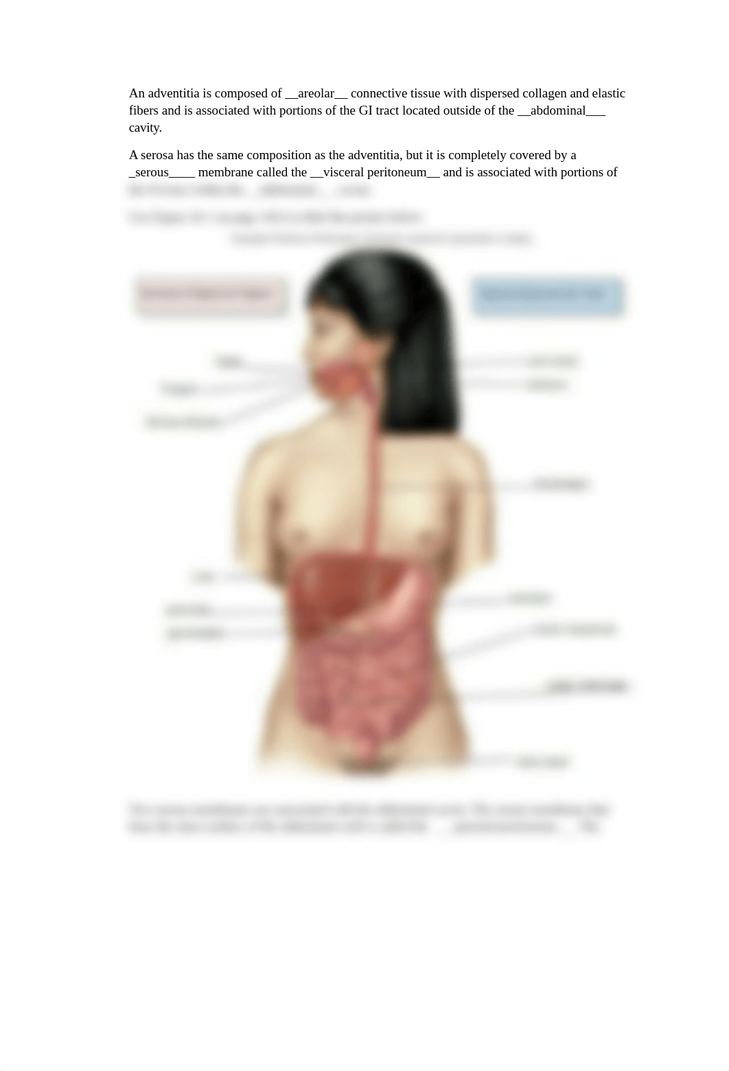 Digestive System Guided Notes.docx_d6l5b03shlz_page3