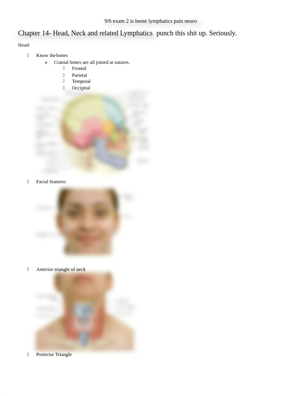 Nurs 217 notes exam 2.docx_d6l5fpa15iv_page1