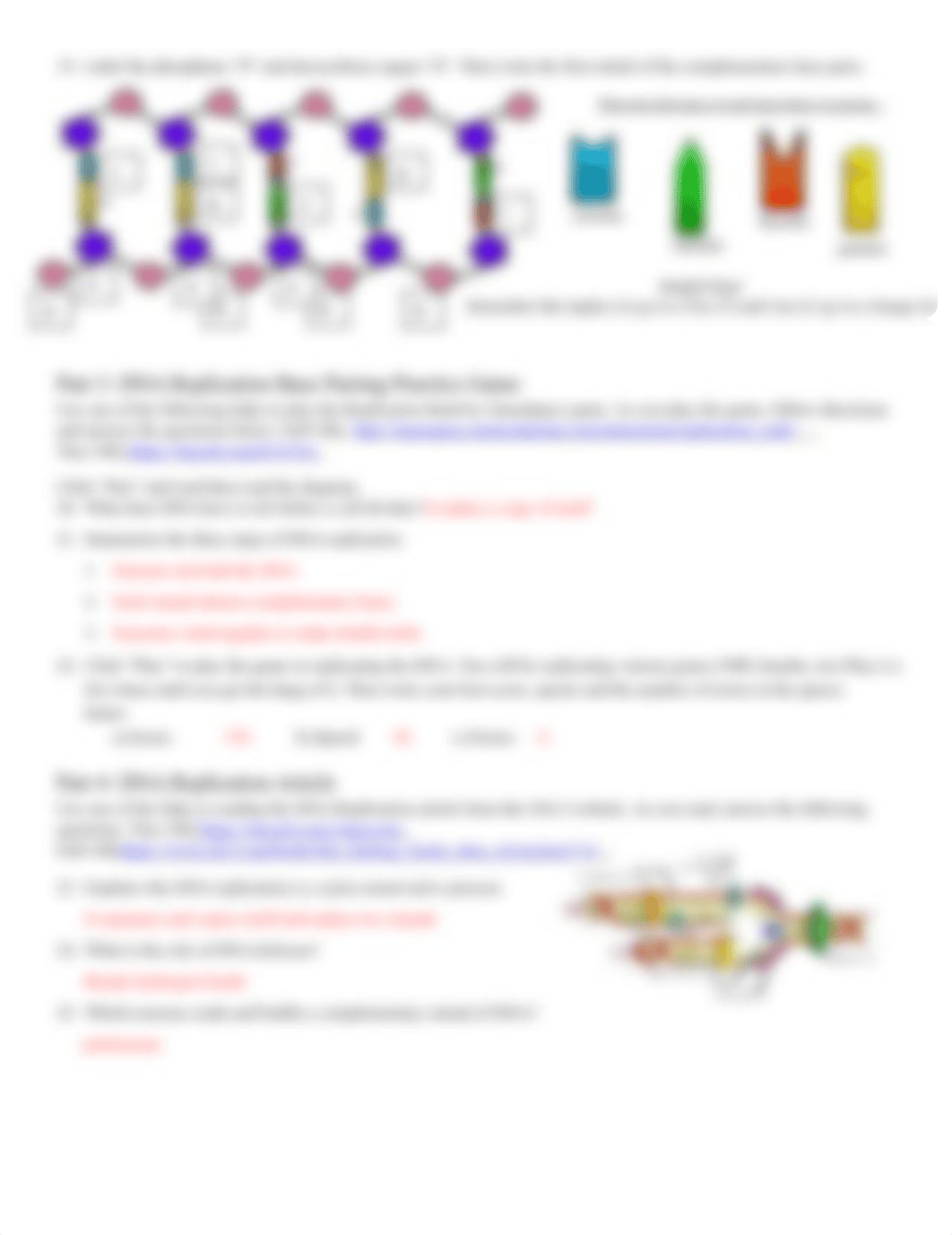 DNA & DNA Replication Webquest.docx_d6ld15xnrvl_page2