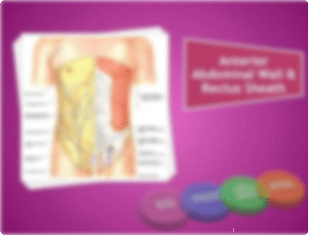 Dhiman.Ant Abdominal Wall and Rectus Sheath.111.ppt_d6lrphgs65s_page1