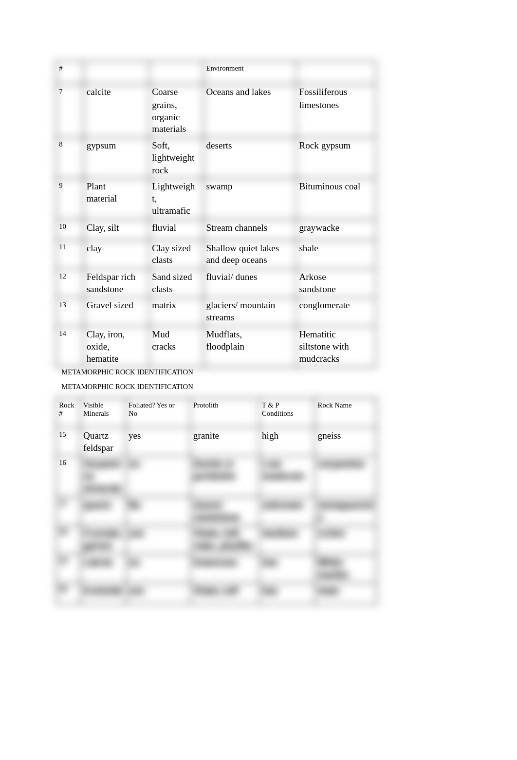 Lab 2: Igneous Rock Identifation_d6lzymu041h_page2