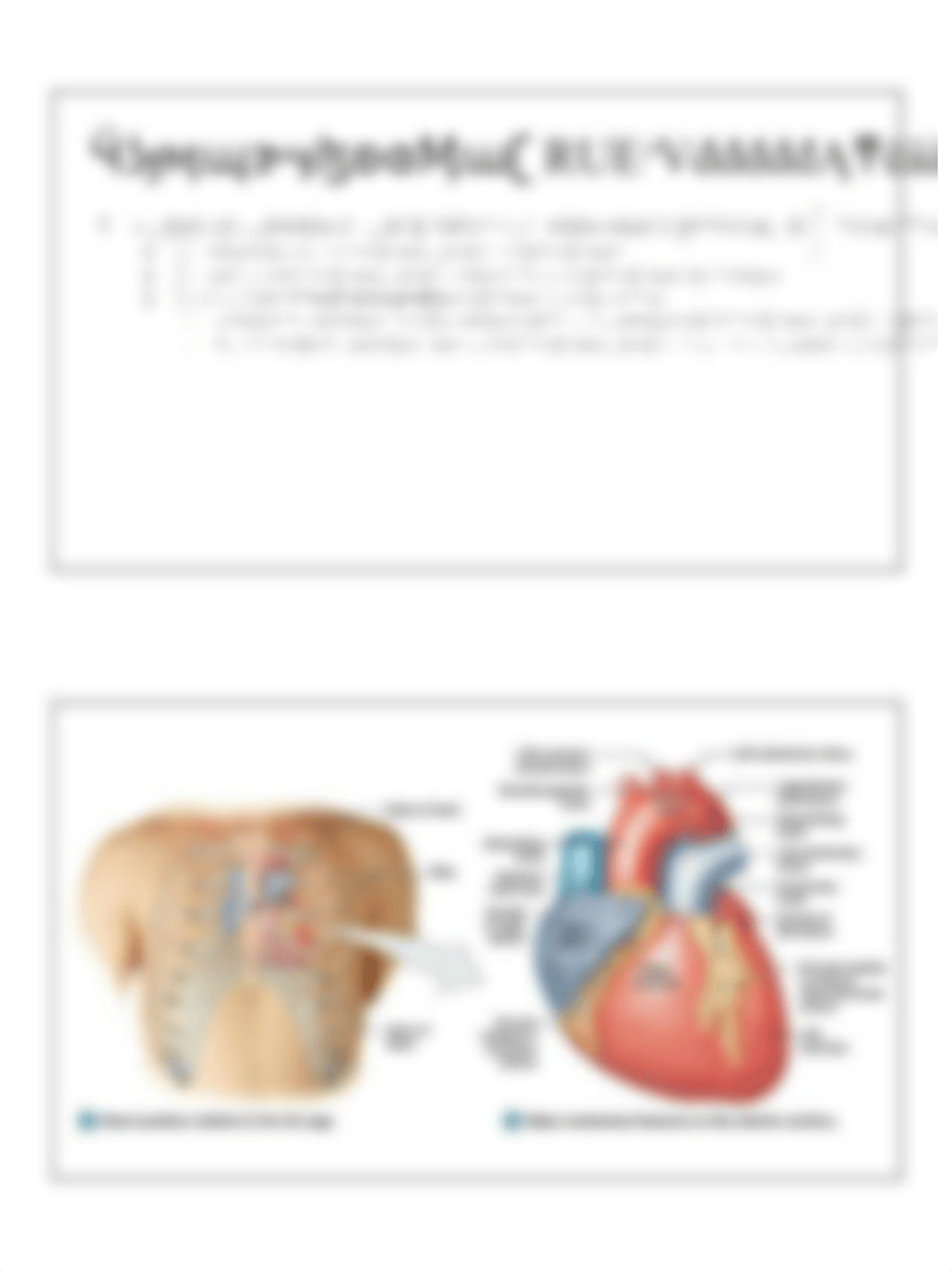 Ch_20_-_Heart_SP20_(1).pdf_d6m27lb2xum_page2