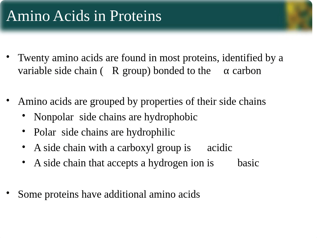 chapter3_Sections4-6 Study Guide.ppt_d6m4tza38wo_page5