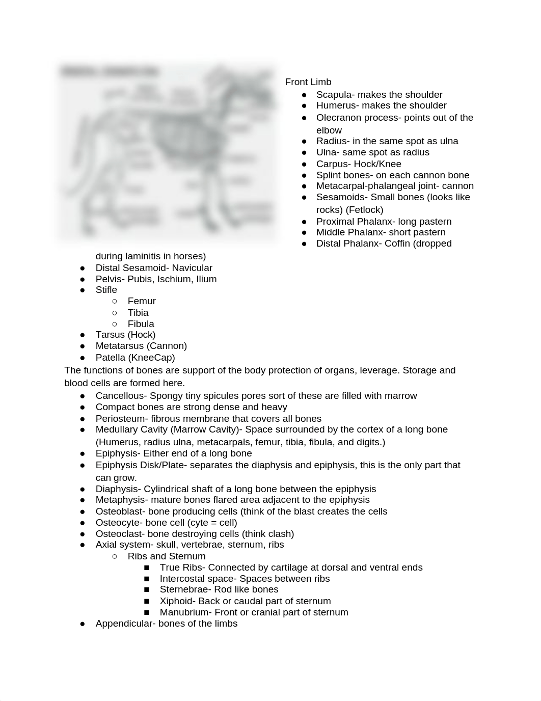 Animal Anatomy and Physiology Final Exam Study Guide.docx_d6mdex4cva8_page2