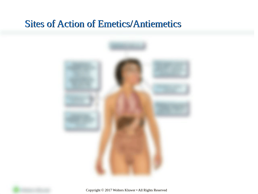 Chapter_59.ppt_d6me8fdz6eq_page4