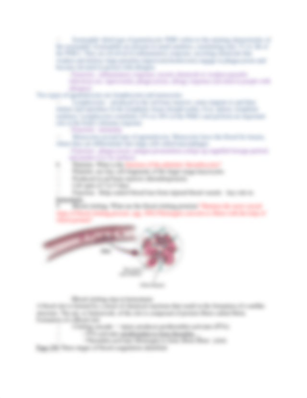 STUDY GUIDE QUIZ 11 Cardiovascular system.docx_d6mhswissib_page3