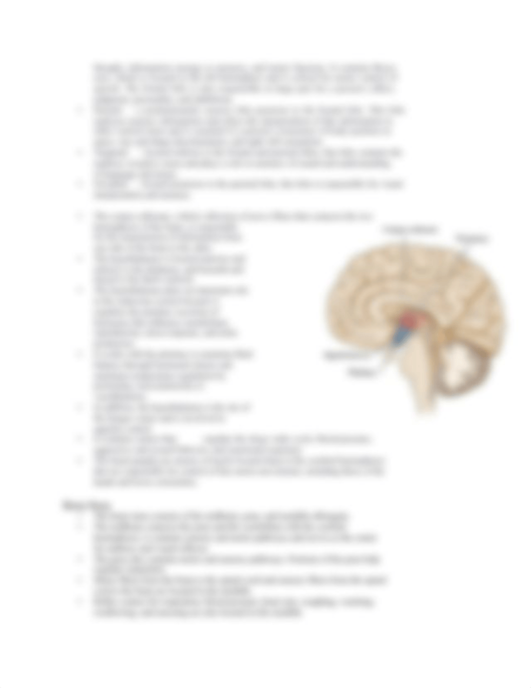 Chapter 65 Assessment of Neurologic Function.docx_d6mhyih0ofl_page3