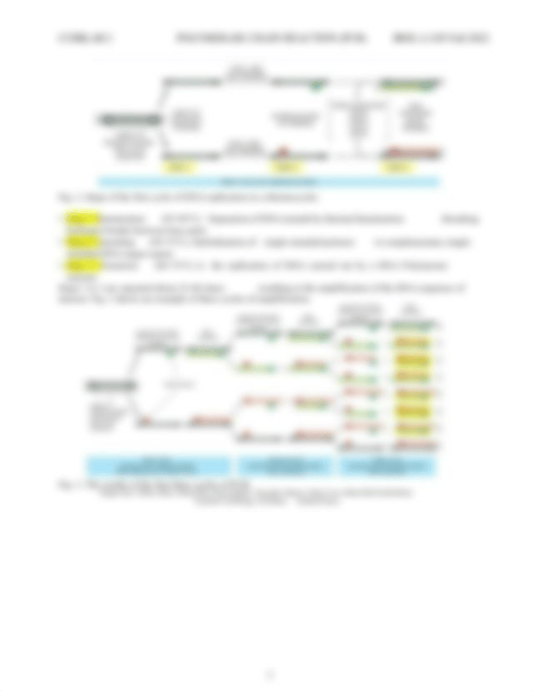 Lab #2 - PCR testings.pdf_d6mwi2bbb46_page2