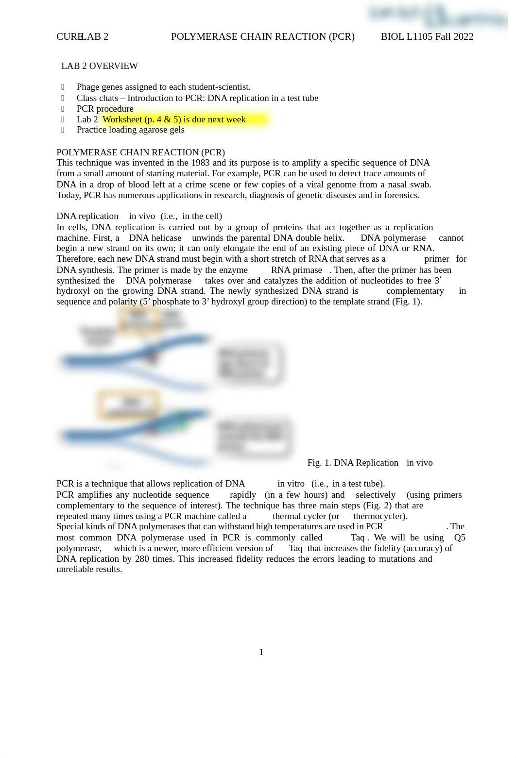 Lab #2 - PCR testings.pdf_d6mwi2bbb46_page1