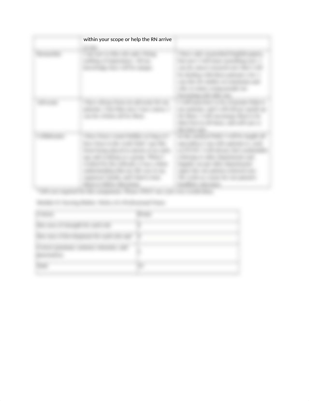 Roles of the Professional Nurse_100721.docx_d6mzdywysig_page3