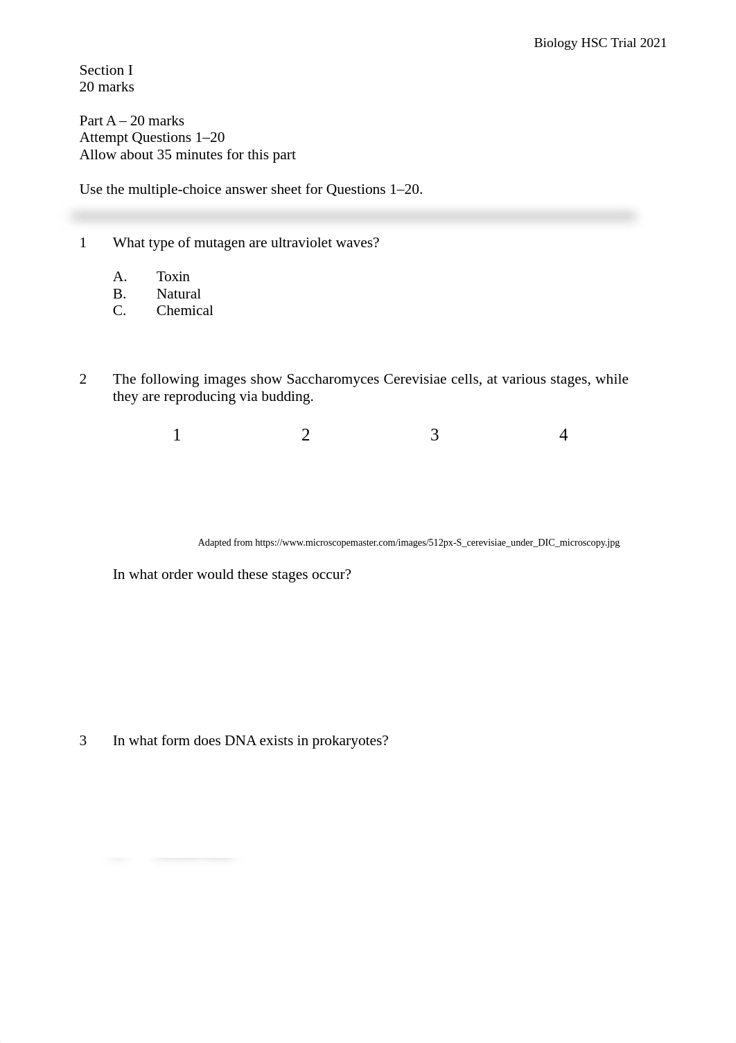 Total Ed (1).docx_d6nfoknfdve_page2