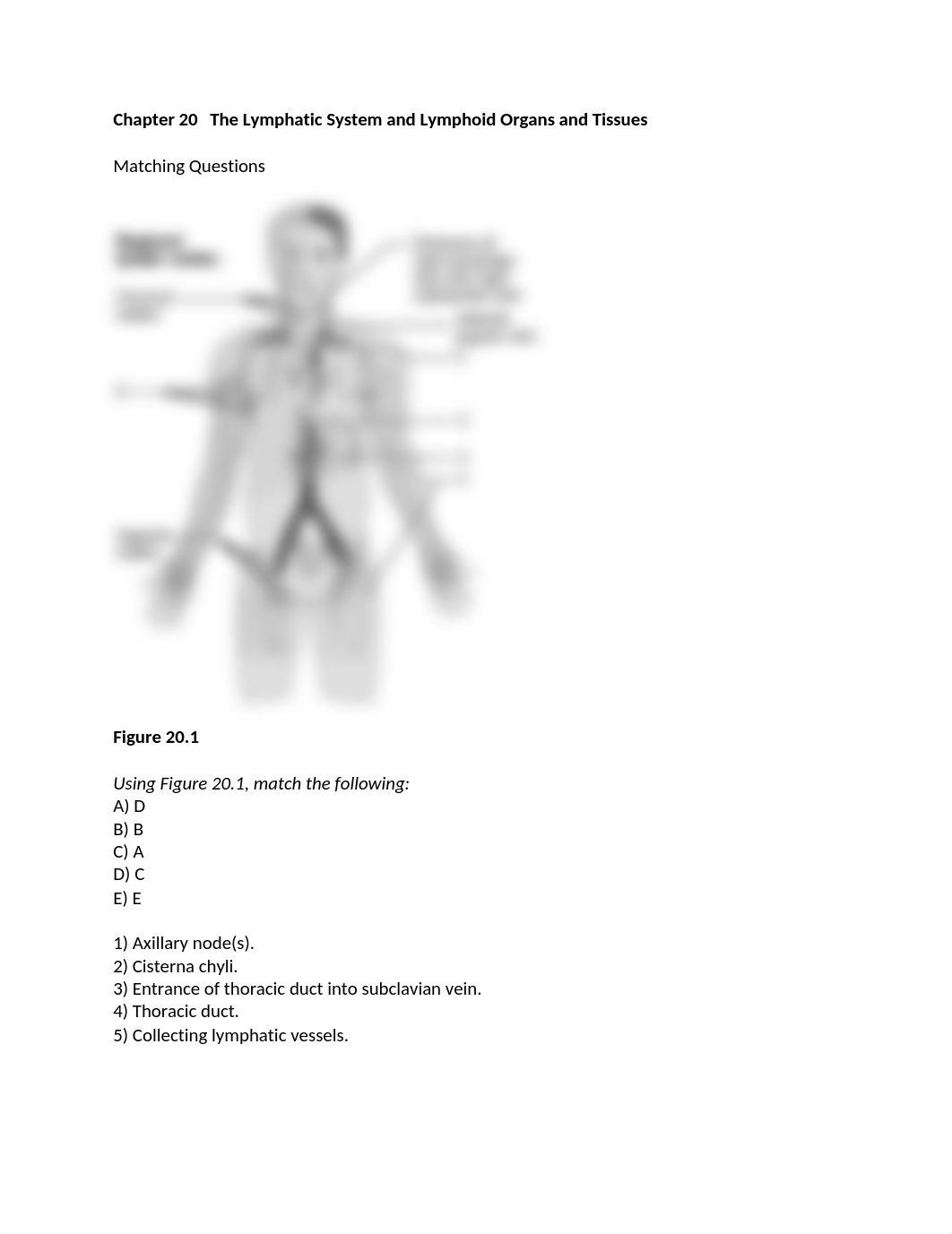 ch_20_worksheet.docx_d6njcimn0l2_page1