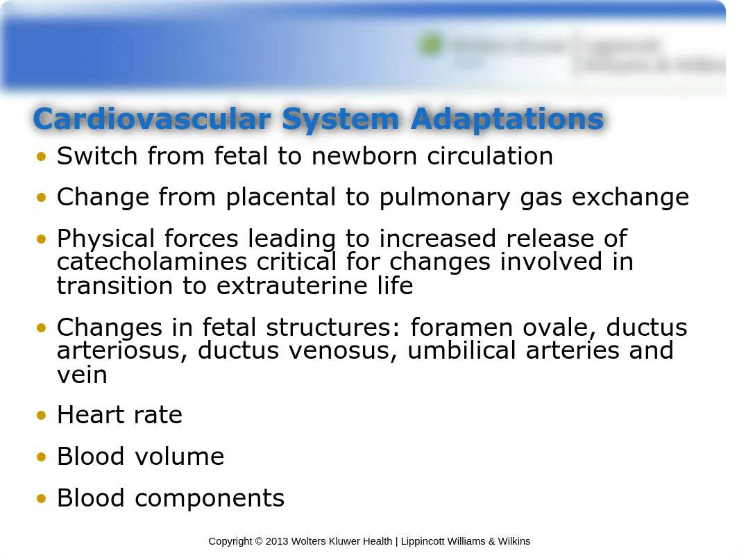 PPT_Chapter_17_d6nkjzm4g64_page3