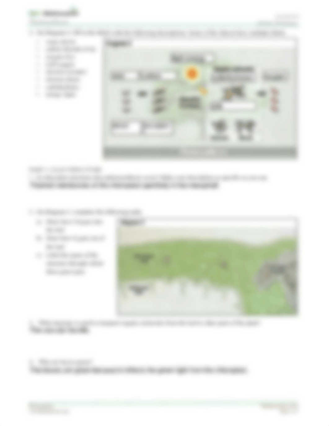 Photosynthesis Worksheet  (1) (1).pdf_d6nmawyaxok_page2