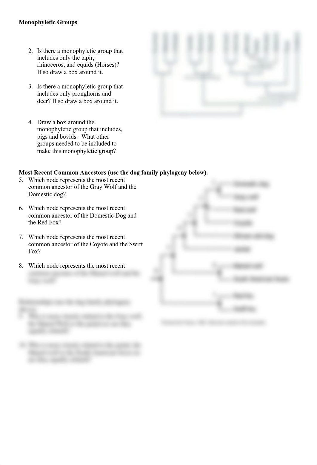 Homework08_Phylogenetics.pdf_d6no2r94dol_page2