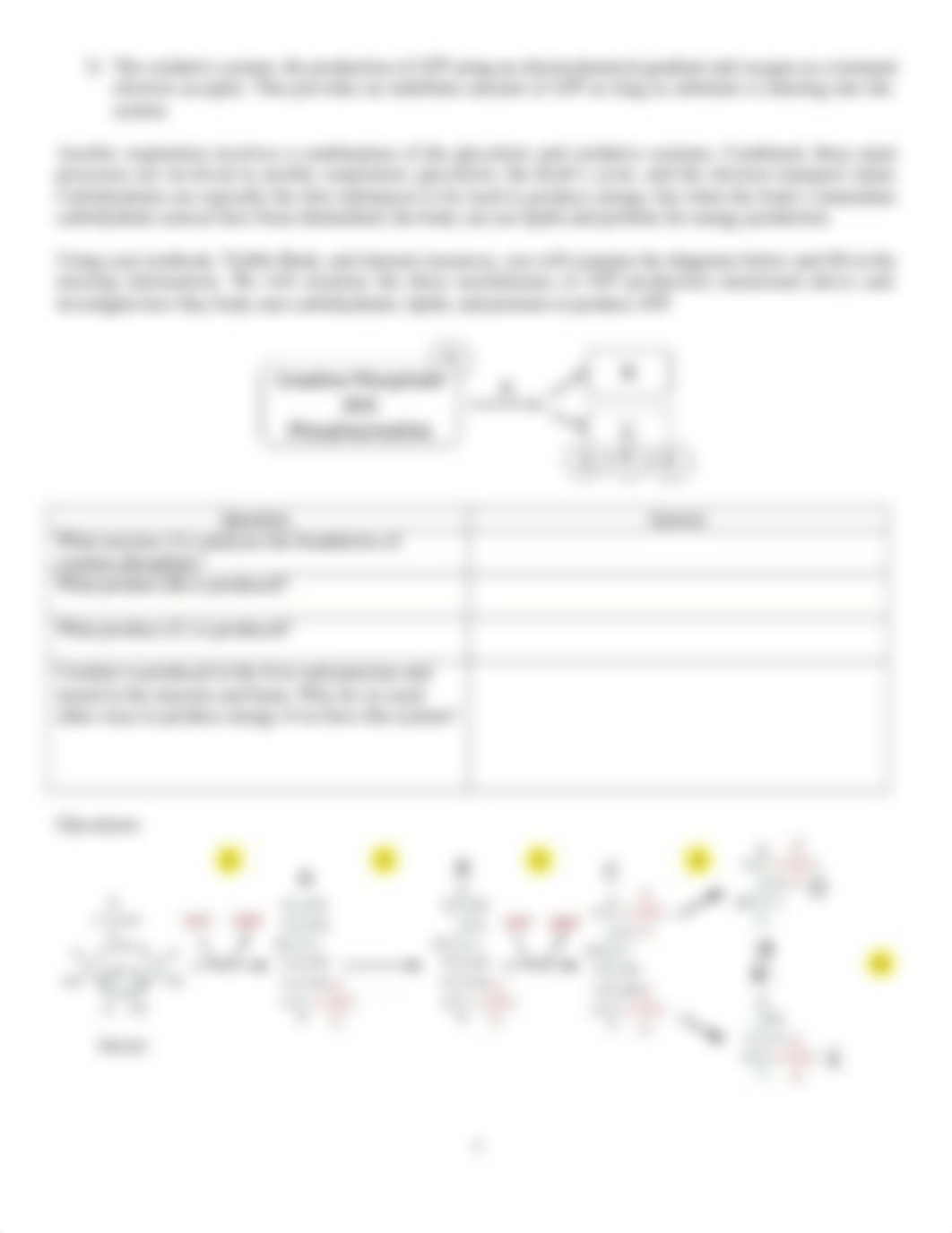 Lab 3 Cellular Structure.docx_d6np1z61p0t_page3