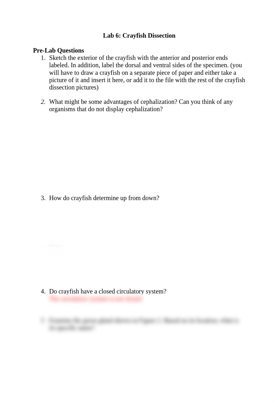 Crayfish Dissection Questions.docx_d6nva840bsc_page1