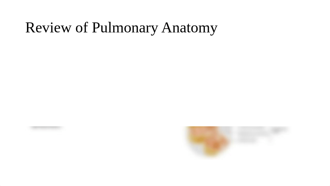 SV - Chapter 9 Ventilatory Assistance.pptx_d6nzxhf6dz3_page3