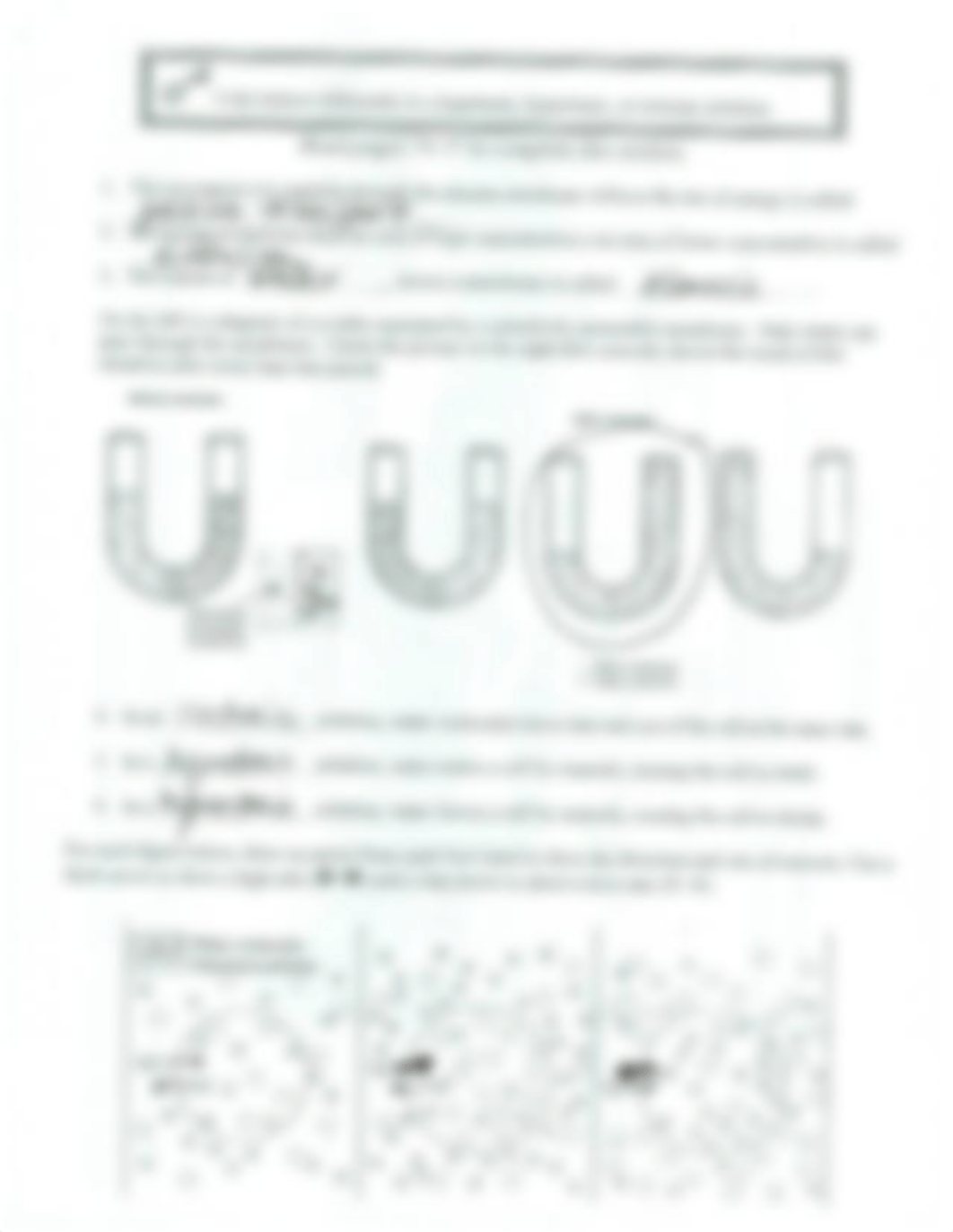 cell transport review key (3)_d6o56dbxve6_page5