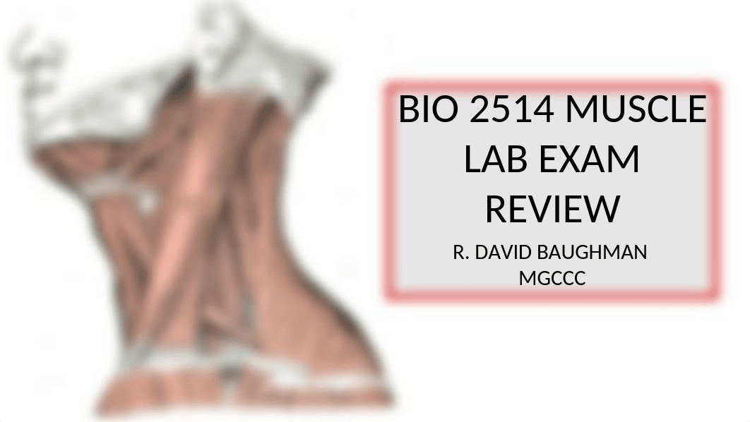 Muscle Lab Exam Review 2017 Revised-1-1.pptx_d6ob0ua0b9n_page1