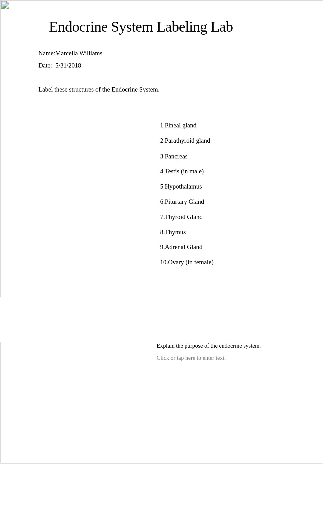 AH101 Lab Endocrine System Labeling(MW).docx_d6ofj4v43eq_page1