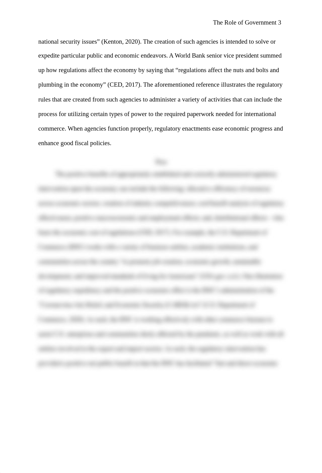 The Role of Government and the Impact of Politics.docx_d6ohmqcre5e_page3