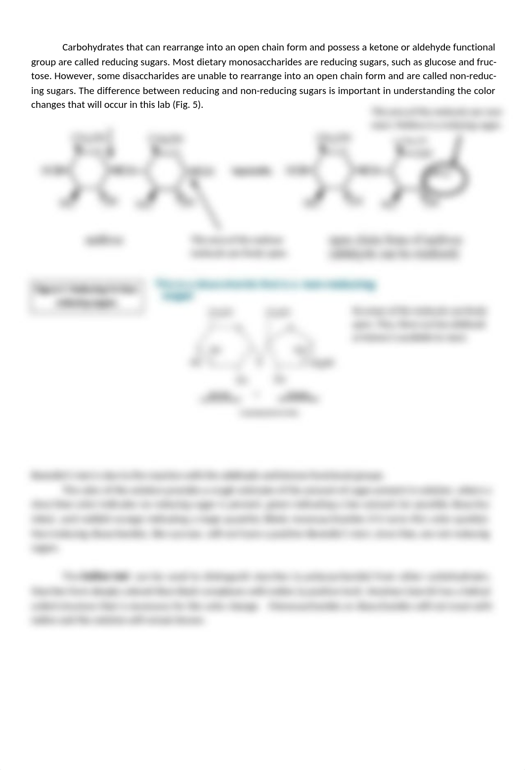 Lab  - 5 Macromolecules.docx_d6ot8yrvp4o_page3