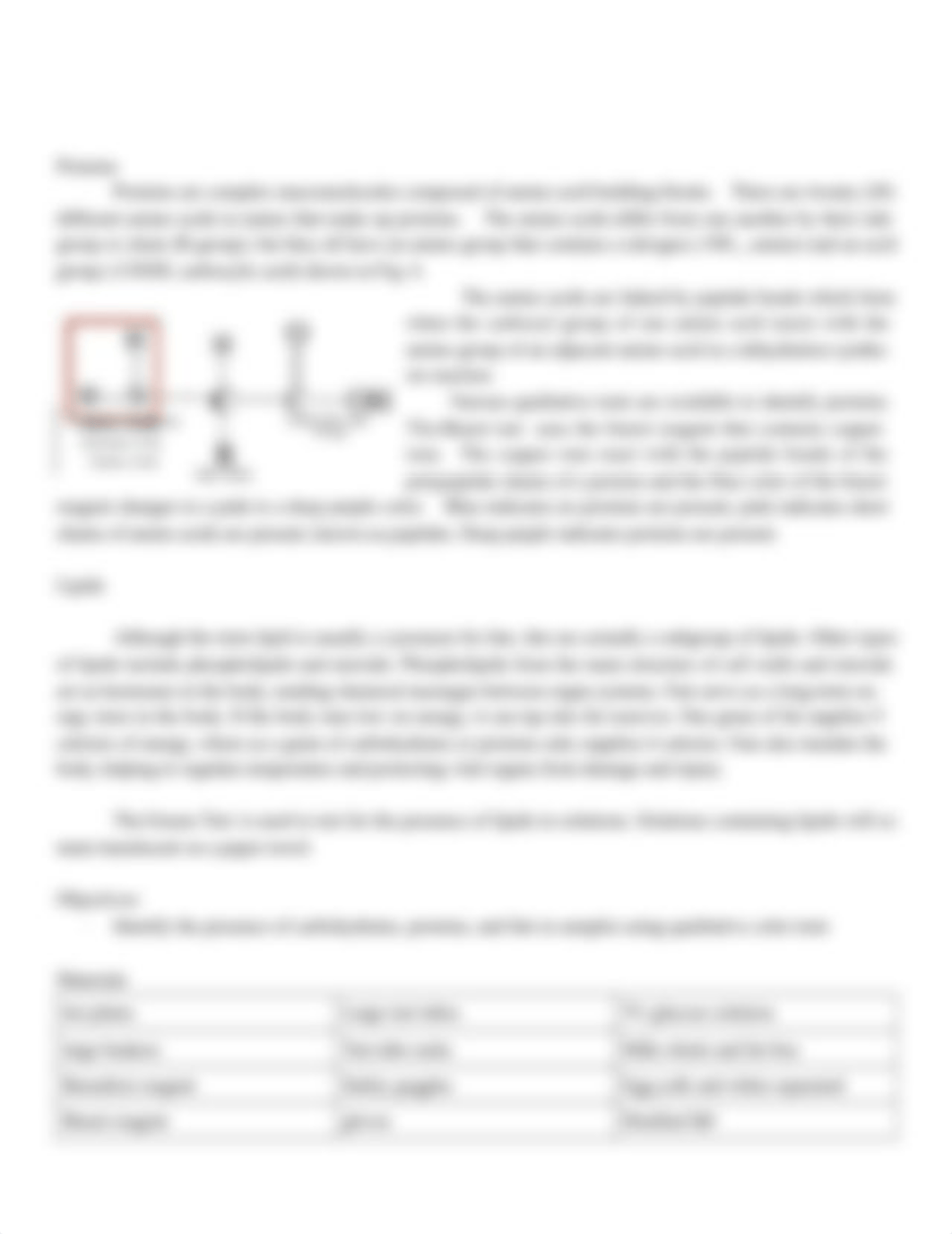 Lab  - 5 Macromolecules.docx_d6ot8yrvp4o_page4