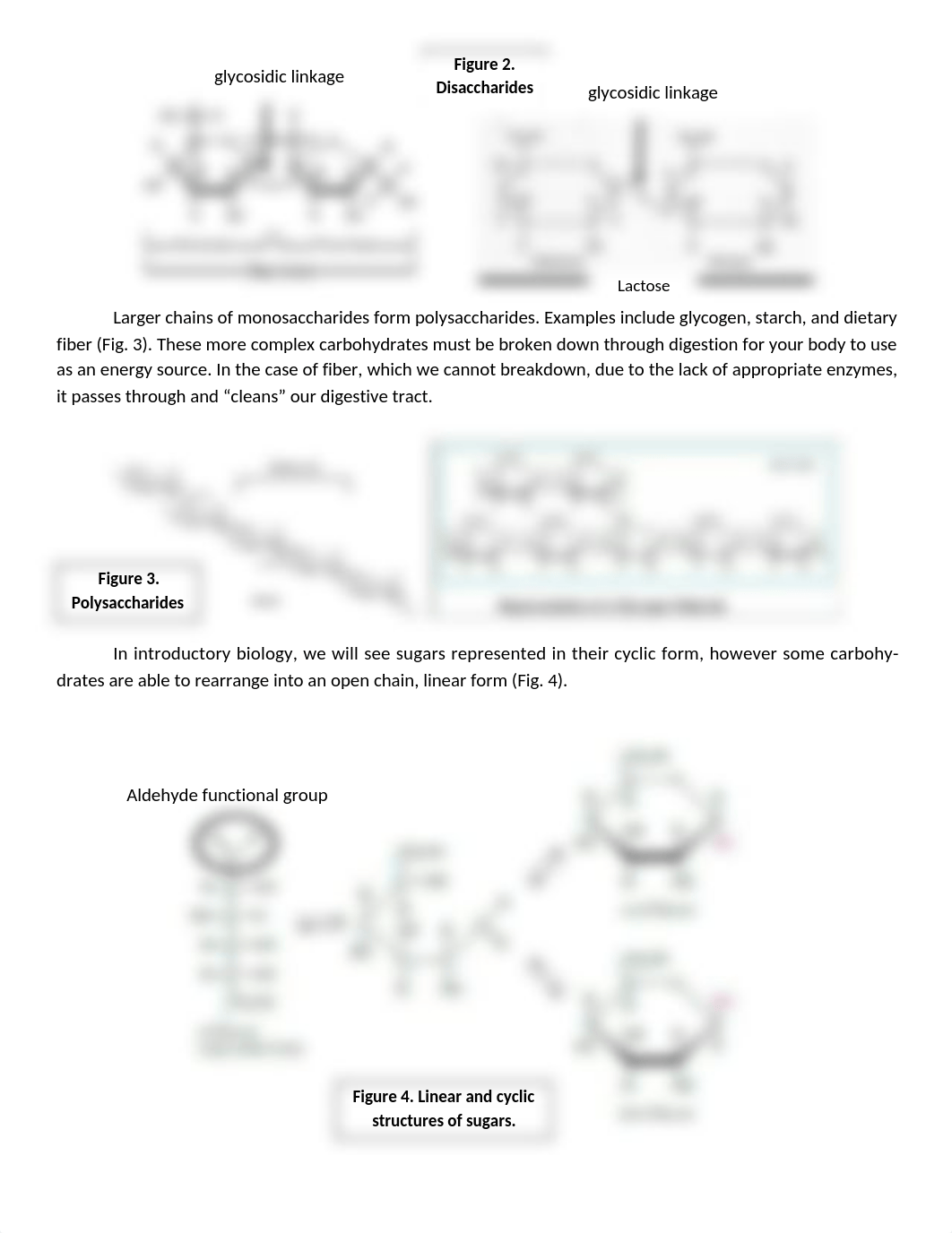 Lab  - 5 Macromolecules.docx_d6ot8yrvp4o_page2