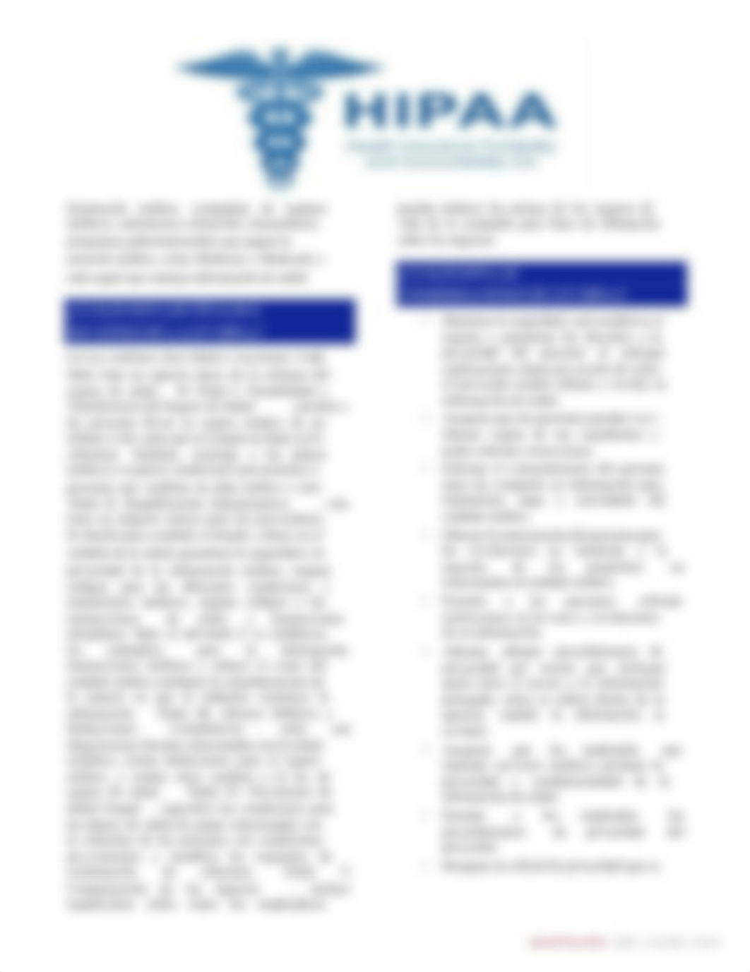 Ley HIPAA - rev. 2019.docx.pdf_d6p39ux9sft_page2