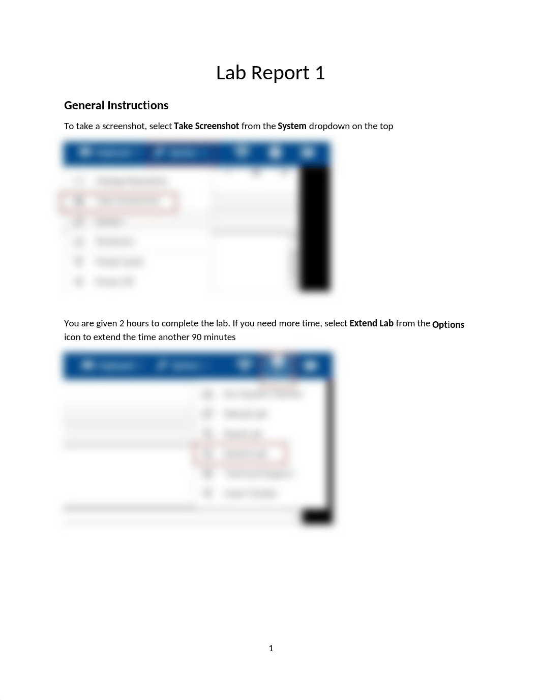 Lab Report 1 (1).docx_d6paydfxoht_page1