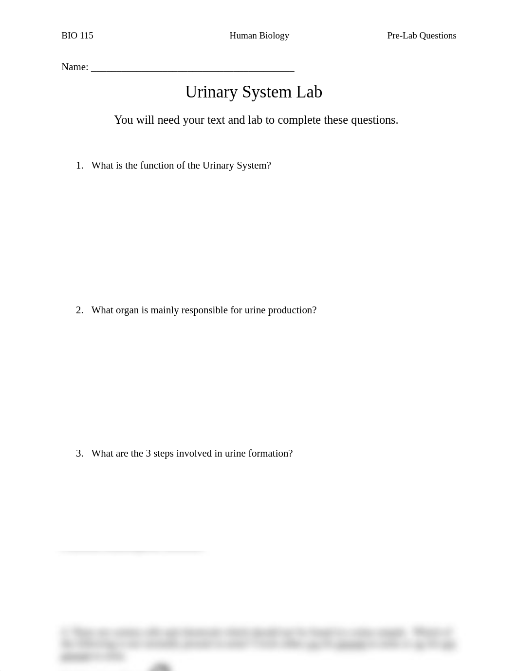 Urinary System Lab.docx_d6pcc995l3o_page1