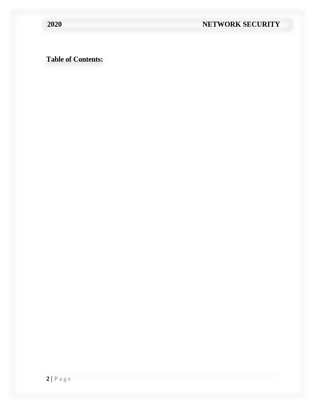 Network Security.docx_d6pv2dwqkuo_page2