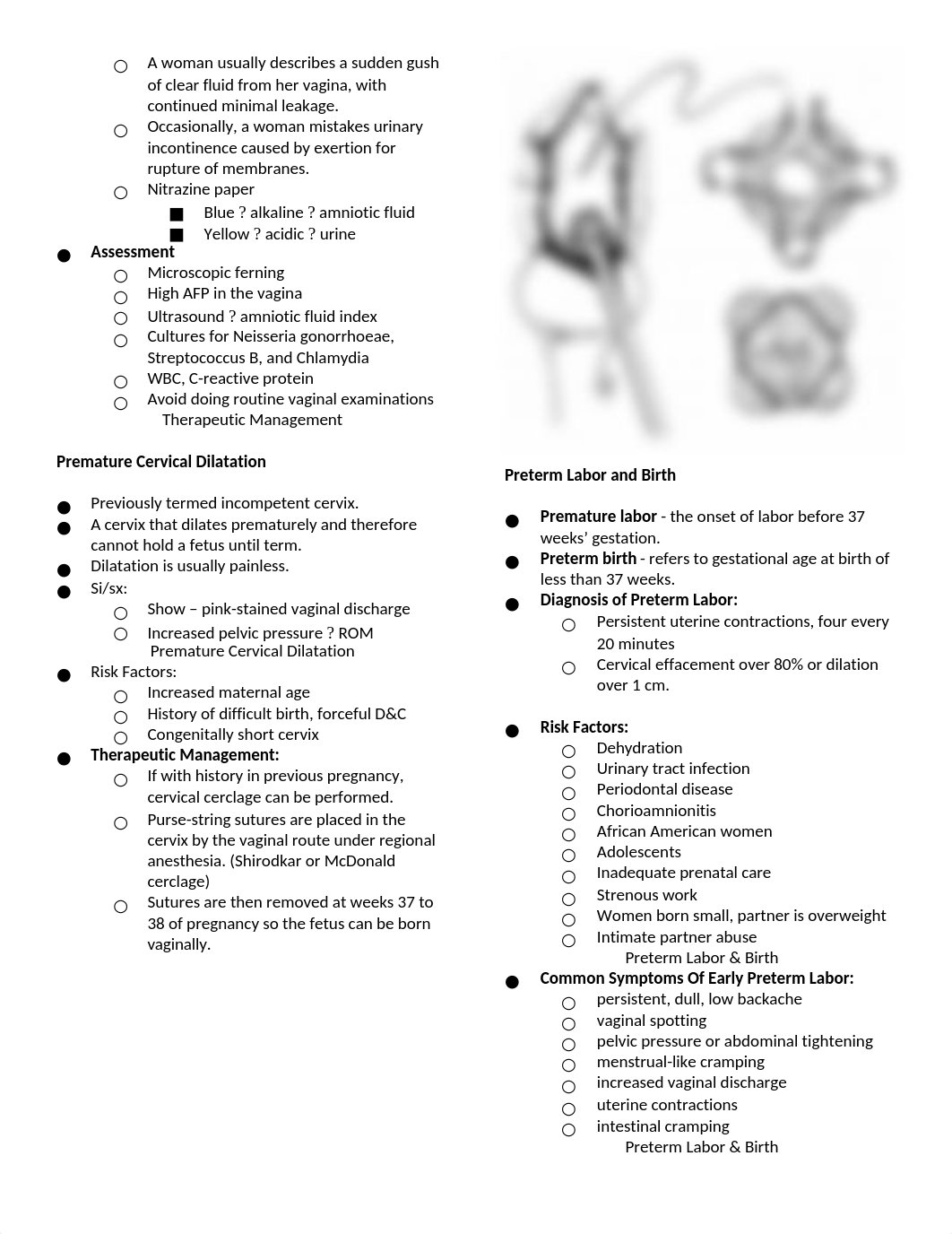 Complications of Pregnancy Notes.docx_d6pvh025mjr_page3