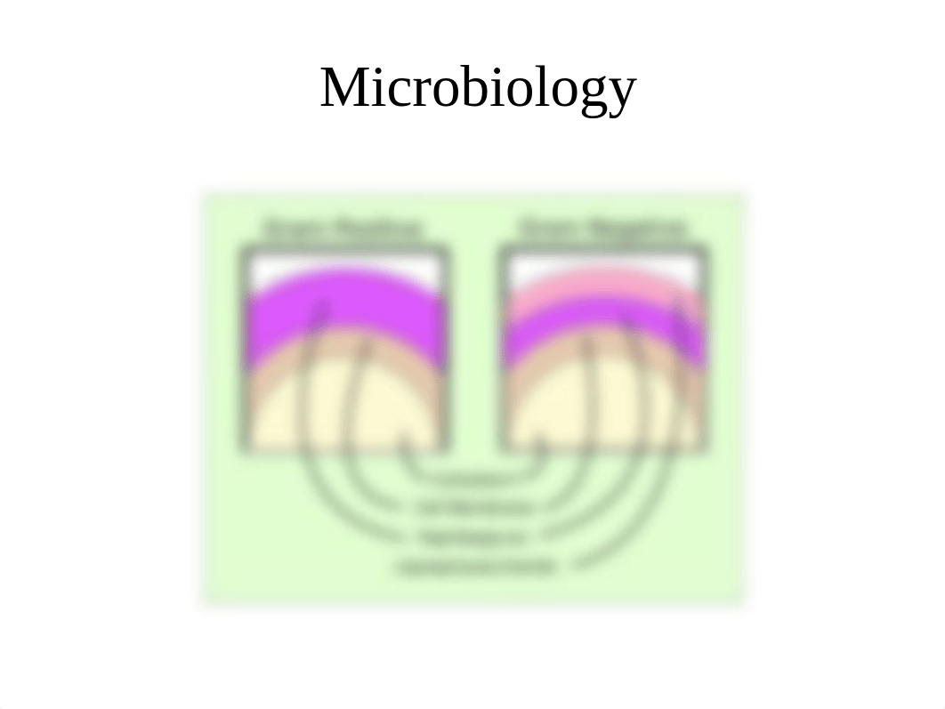 Antimicrobial(2).pptx_d6q2ki2po3o_page3